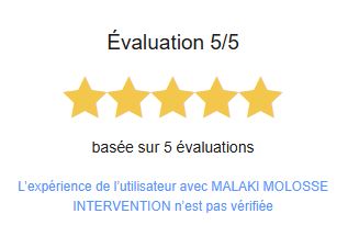 service 5 ETOILES de surveillance dédié aux interventions sur alarme. Nos agents réactifs assurent une réponse rapide aux alertes, garantissant la sécurité de vos locaux et la protection de vos biens en tout temps. Interventions sur Montpellier Agglomération et autres départements.